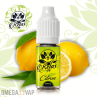 ELIQUIDE CBD CITRON - FLAVOUR POWER